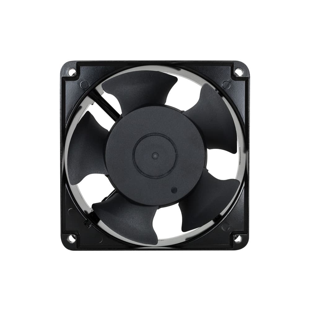 Fans (desktop image)
